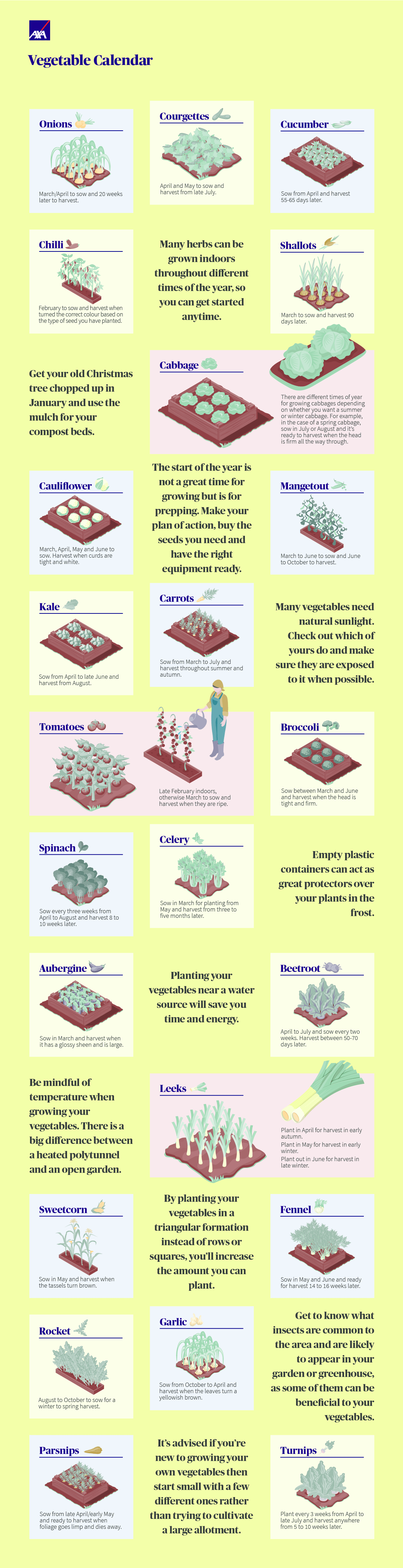 Vegetable calendar infographic